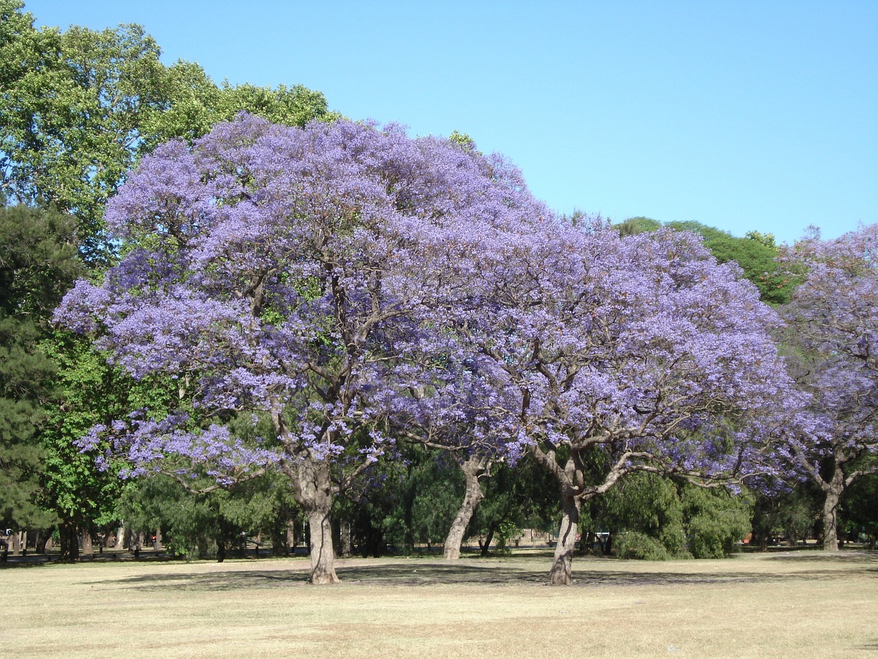 Why Buenos Aires Should Be Your Next City Break